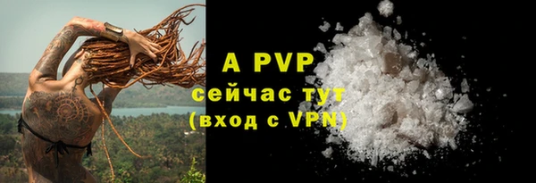 прущие крисы Костерёво