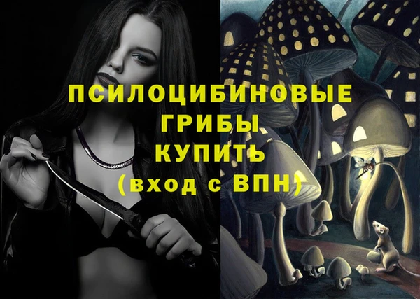 мяу мяу мука Коряжма