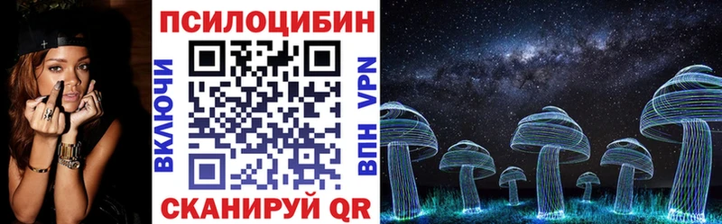 цена   Ядрин  Псилоцибиновые грибы MAGIC MUSHROOMS 